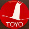 Toyo Securities Co., Ltd.