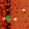 CelLBxHealth plc
