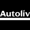 ALV logo