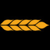 ANDE logo