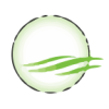 ETFis Series Trust I - Virtus LifeSci Biotech Clinical Trials ETF