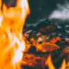 BBQ Holdings Inc
