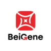 BGNE company logo