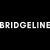 BLIN logo