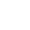 Borqs Technologies