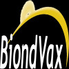BVXV logo