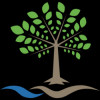BYSI logo