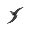 Victory Portfolios II - VictoryShares US Large Cap High Div Volatility Wtd ETF