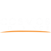 COSM logo