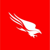 Crowdstrike Holdings Inc - Ordinary Shares - Class A