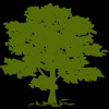 CYH logo