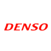 DNZOY logo