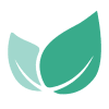 Evergreen Corp - Ordinary Shares - Class A