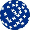 First Advantage logo