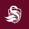 Listed Funds Trust - Swan Hedged Equity US Large Cap ETF