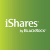 Image Scan Holdings Plc