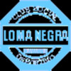 Loma Negra Compañía Industrial Argentina Sociedad Anónima logo