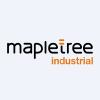 MAPIF logo
