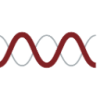 Molecular Templates