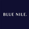 BitNile Holdings Inc.