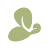 Orchid Island Capital, Inc. logo