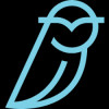 Blue Owl Capital logo