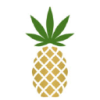 Pineapple, Inc.