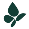 Cavvy Energy Ltd.