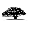 WisdomTree Trust - WisdomTree PutWrite Strategy Fund
