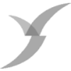 Victory Portfolios II - VictoryShares Nasdaq Next 50 ETF