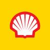 Shell Plc - ADR (Representing - Ordinary Shares)