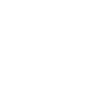 SNES logo