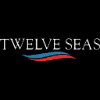 Twelve Seas Investment Company II logo