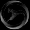 VNOM logo