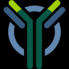 Y-Mabs Therapeutics Inc
